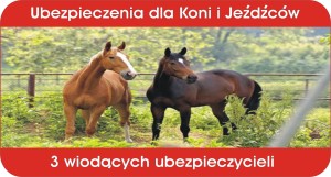 Ubezpieczenia koni