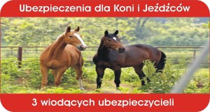 Ubezpieczenia koni